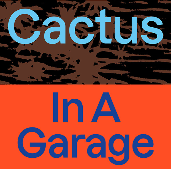 Cactus – In A Garage